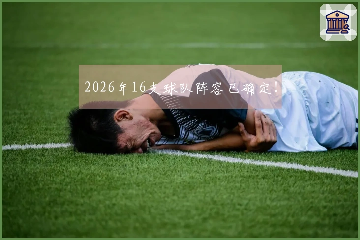 2026年16支球队阵容已确定！