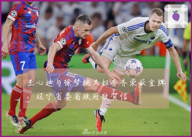 王心迪与徐梦桃夫妇齐齐荣获金牌，辽宁省委省政府致贺信